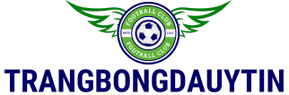 Logo Trangbongdauytin