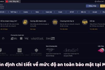 MCW – Trang Web Cá Độ Đá Gà Thú Vị Và Hấp Dẫn