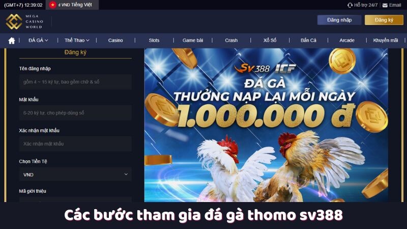 Các bước tham gia đá gà thomo sv388 