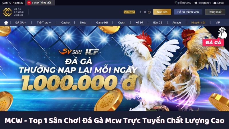 Phương châm hoạt động của MCW trong lĩnh vực đá gà mcw trực tuyến